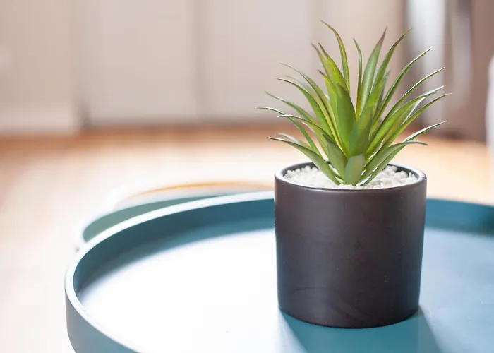 Florence Et Nadine - Latre Location * לורדה