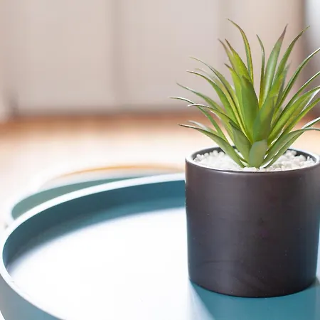 Avec Garage Prive - Latre Location * 루르드